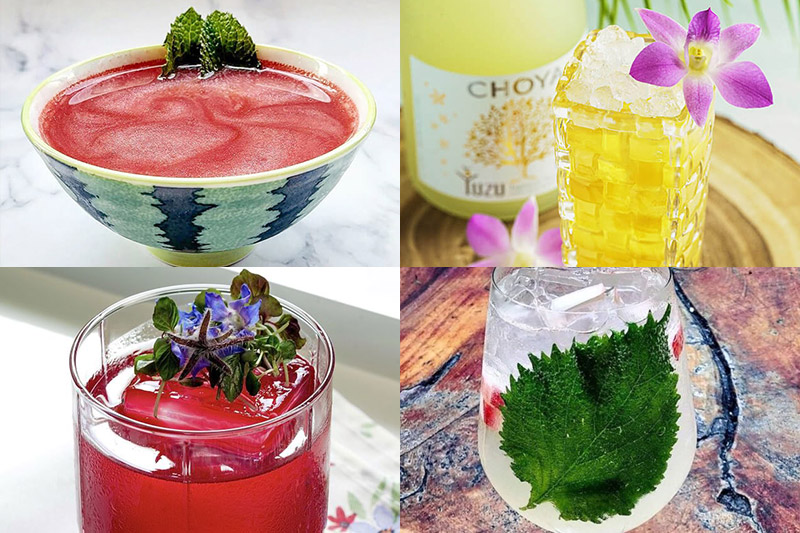 Refreshing Summer Cocktails to Sip on with CHOYA