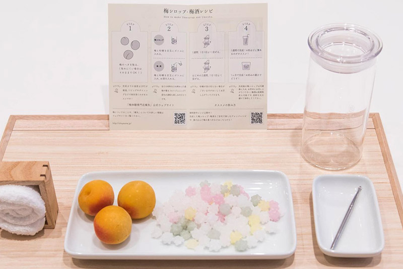Crafting Your Own Umeshu at CHOYA’s Exquisite Workshops
